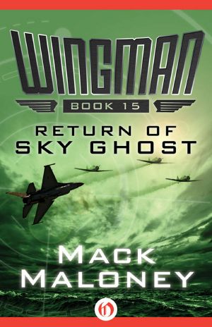 [Wingman 15] • Return of Sky Ghost
